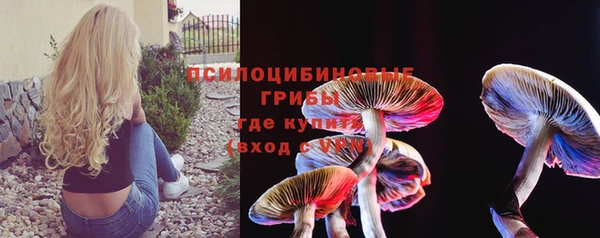 мяу мяу мука Богданович