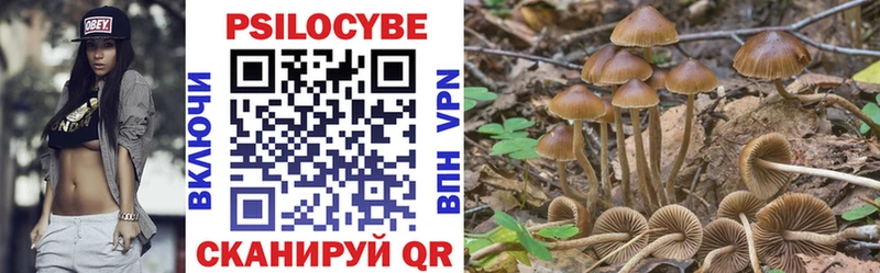 Купить где  Чегем  Галлюциногенные грибы MAGIC MUSHROOMS 